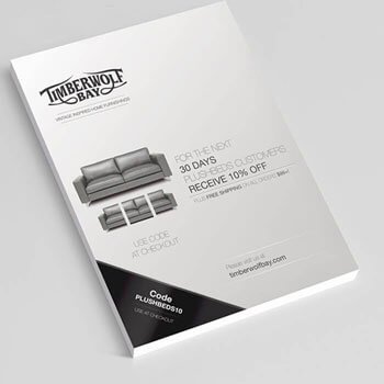 Professional Flyer & Brochure Designs