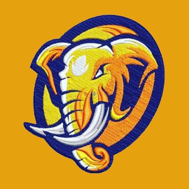 Logo Embroidery Services 06